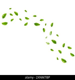 foglie verdi che volano sull'illustrazione del vento Illustrazione Vettoriale