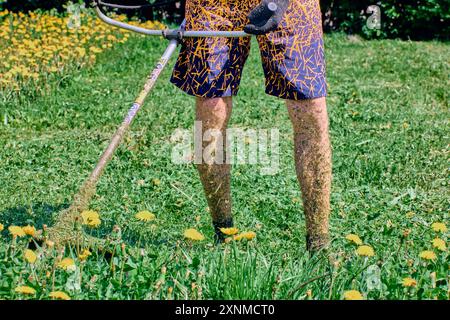 La pelle delle gambe dei paesaggisti, non protetta da indumenti protettivi, è ricoperta da frammenti di erbacce schiacciate. Foto Stock