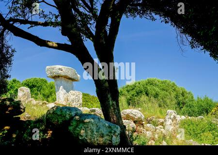 Taula da sa Torreta (Torre Bianca), Parc Natural de S' Albufera des Grau, Minorca, riserva della Biosfera, Isole Baleari, Spagna Foto Stock