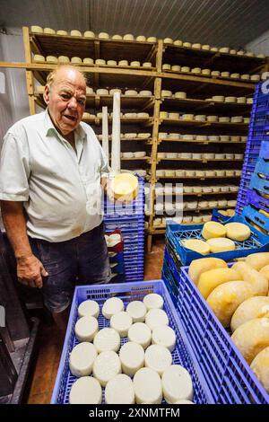 Scaffale con essiccazione del formaggio, fabbricazione artigianale di formaggio Mahon, Alcaiduset, Alaior, Minorca, Isole Baleari, Spagna Foto Stock