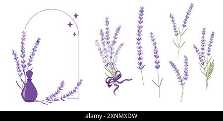 Serie di illustrazioni vettoriali di fiori di lavanda, bouquet, corona ed elementi di disegno per biglietto di auguri su sfondo bianco in stile retrò piatto, Provenc Illustrazione Vettoriale