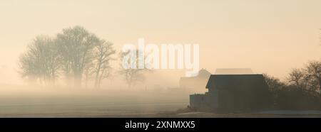 Una mattina presto con bassa nebbia che copre le fattorie in una valle. Foto Stock