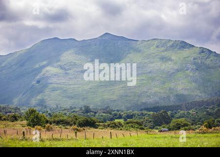 Colline della Sierra del Sueve viste dalle scogliere dell'Inferno, Ribadesella, Asturie orientali, Spagna Foto Stock