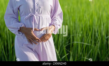 una donna incinta mette un simbolo del cuore sulla pancia per mostrare il suo amore e la sua preoccupazione per il suo bambino non ancora nato. concetto di espressione dell'amore verso il nascituro Foto Stock