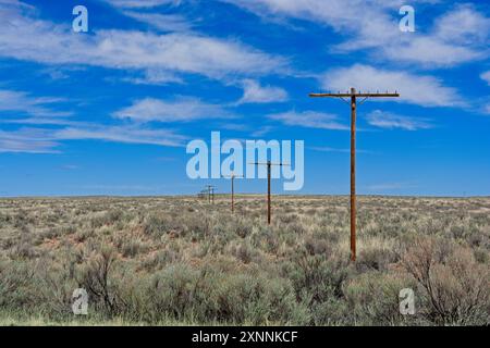 La linea di pali telefonici abbandonati si allinea con lo storico letto stradale della Route 66 attraverso il Petrified Forest National Park Foto Stock