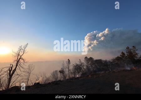 Chico, California, Stati Uniti. 1° agosto 2024. Paesaggio che mostra la portata dell'incendio. I vigili del fuoco continuano a combattere il fuoco del parco fuori Chico, nelle contee di Butte e Tehama della California settentrionale. Il Park Fire ha ora bruciato oltre 392.480 acri, rendendolo il quinto più grande incendio nella storia della California. (Immagine di credito: © Cal Fire/Wildfire Image) SOLO PER USO EDITORIALE! Foto Stock