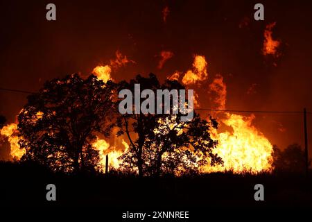 Chico, California, Stati Uniti. 1° agosto 2024. I vigili del fuoco continuano a combattere il fuoco del parco fuori Chico, nelle contee di Butte e Tehama della California settentrionale. Il Park Fire ha ora bruciato oltre 392.480 acri, rendendolo il quinto più grande incendio nella storia della California. (Immagine di credito: © Cal Fire/Wildfire Image) SOLO PER USO EDITORIALE! Foto Stock