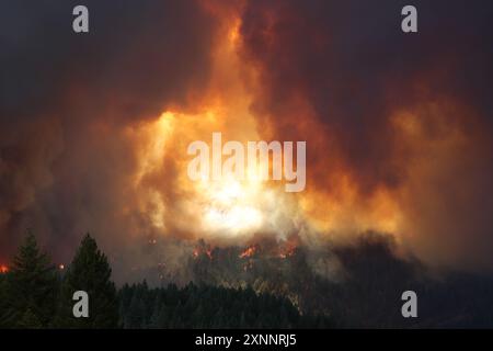 Chico, California, Stati Uniti. 1° agosto 2024. I vigili del fuoco continuano a combattere il fuoco del parco fuori Chico, nelle contee di Butte e Tehama della California settentrionale. Il Park Fire ha ora bruciato oltre 392.480 acri, rendendolo il quinto più grande incendio nella storia della California. (Immagine di credito: © Cal Fire/Wildfire Image) SOLO PER USO EDITORIALE! Foto Stock