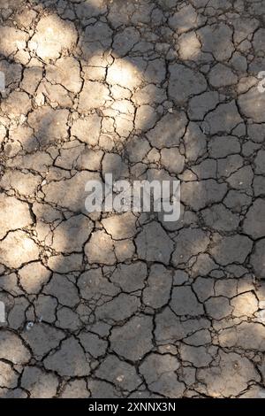 Terra incrinata a causa della siccità Foto Stock