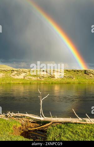 Arcobaleno sulla Hayden Valley dopo una tempesta, parco nazionale di Yellowstone, Wyoming, Stati Uniti Foto Stock