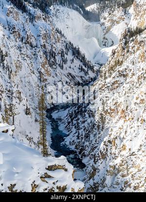 Lower Falls, Grand Canyon del parco nazionale di Yellowstone, in inverno, Wyoming, Stati Uniti Foto Stock