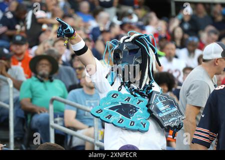 Canton, Stati Uniti. 1 agosto 2024. Un tifoso dei Carolina Panthers applaude mentre i Chicago Bears affrontano gli Houston Texans nella Pro Football Hall of Fame a Canton, Ohio, giovedì 1 agosto 2024. Foto di Aaron Josefczyk/UPI credito: UPI/Alamy Live News Foto Stock