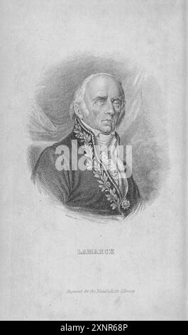 Jean-Baptiste Pierre Antoine de Monet, chevalier de Lamarck (ə ˈ agosto 1744 – 18 dicembre 1829), spesso noto semplicemente come Lamarck (/ l ɑːr m ʒɑ̃batist lamaʁk k /; francese: []), è stato un naturalista, biologo, accademico e soldato francese. Dal libro ENTOMOLOGIA. FARFALLE STRANIERE. Di Duncan, James, 1804-1861 volume XXXI della BIBLIOTECA del NATURALISTA. pubblicato nel 1852 Foto Stock