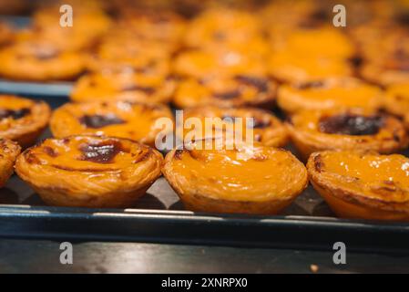 Primo piano del pastel de nata appena sfornato a Lisbona, Portogallo Foto Stock