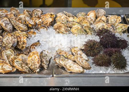 Ostriche fresche e ricci di mare in mostra al Broadway Market di Londra Foto Stock