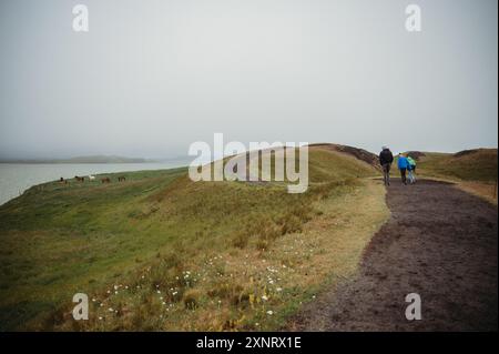 Escursione in famiglia a Myvatn, Islanda, con l'oceano e i cavalli islandesi Foto Stock