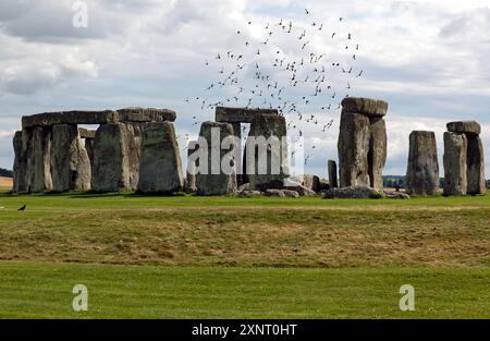 Un gregge di piccioni vola via dal loro rifugio a Stonehenge, Salisbury Plane, Wiltshire Foto Stock