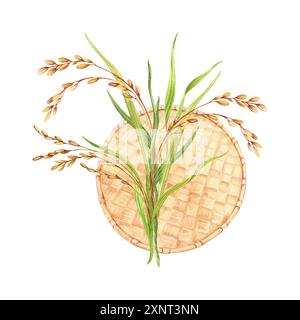 Chicchi di riso con gambi verdi e composizione di foglie. Vassoio di cottura tradizionale realizzato a mano in bambù. Illustrazione ad acquerello disegnata a mano isolata da Foto Stock