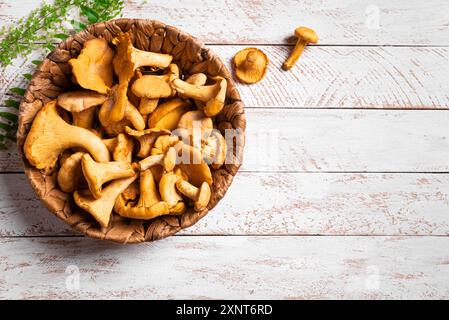 Funghi canterelle in cestello su sfondo bianco in legno, vista dall'alto, spazio per fotocopie. I funghi della foresta e i lampadari pronti a cucinare. Foto Stock