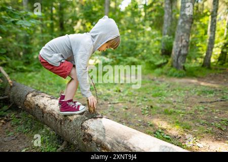 Bambini piccoli che esplorano nella splendida foresta mista di pini e decidue dell'Estonia. Bellezza della natura baltica. Foto Stock