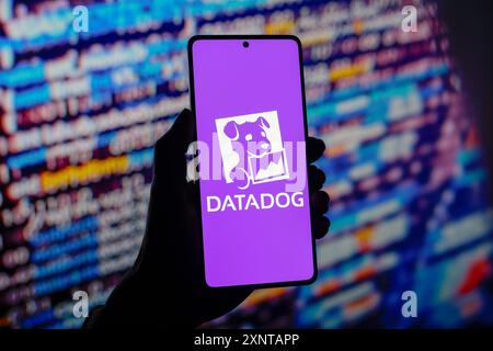 Paraguay. 2 agosto 2024. In questa immagine, il logo Datadog viene visualizzato sullo schermo di uno smartphone. Credito: SOPA Images Limited/Alamy Live News Foto Stock