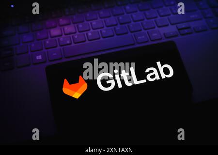 Paraguay. 2 agosto 2024. In questa immagine, il logo GitLab viene visualizzato sullo schermo di uno smartphone. Credito: SOPA Images Limited/Alamy Live News Foto Stock