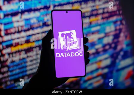 Paraguay. 2 agosto 2024. In questa immagine, il logo Datadog viene visualizzato sullo schermo di uno smartphone. (Foto di Jaque Silva/SOPA Images/Sipa USA) *** esclusivamente per notizie editoriali *** credito: SIPA USA/Alamy Live News Foto Stock