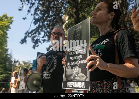 Madrid, Spagna. 2 agosto 2024. Un attivista animale porta uno striscione durante una manifestazione di protesta a Madrid davanti all'ambasciata danese a Madrid per chiedere il rilascio urgente dell'attivista anti-baleniera Paul Watson. Il fondatore dell'organizzazione Sea Shepherd è stato arrestato il 21 luglio dalla polizia danese in Groenlandia e rischia di essere estradato in Giappone, dove avrebbe potuto trascorrere fino a 15 anni di prigione. Credito: SOPA Images Limited/Alamy Live News Foto Stock