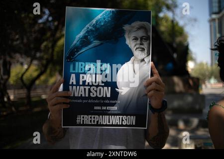 Madrid, Spagna. 2 agosto 2024. Un attivista animale porta uno striscione durante una manifestazione di protesta a Madrid davanti all'ambasciata danese a Madrid per chiedere il rilascio urgente dell'attivista anti-baleniera Paul Watson. Il fondatore dell'organizzazione Sea Shepherd è stato arrestato il 21 luglio dalla polizia danese in Groenlandia e rischia di essere estradato in Giappone, dove avrebbe potuto trascorrere fino a 15 anni di prigione. Credito: SOPA Images Limited/Alamy Live News Foto Stock