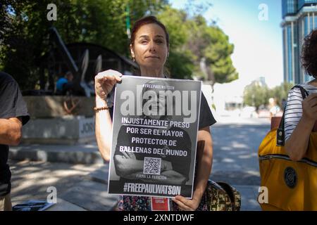 Madrid, Spagna. 2 agosto 2024. Un attivista animale porta uno striscione durante una manifestazione di protesta a Madrid davanti all'ambasciata danese a Madrid per chiedere il rilascio urgente dell'attivista anti-baleniera Paul Watson. Il fondatore dell'organizzazione Sea Shepherd è stato arrestato il 21 luglio dalla polizia danese in Groenlandia e rischia di essere estradato in Giappone, dove avrebbe potuto trascorrere fino a 15 anni di prigione. Credito: SOPA Images Limited/Alamy Live News Foto Stock