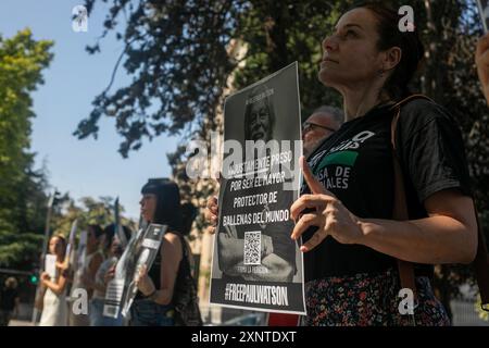 Madrid, Spagna. 2 agosto 2024. Un attivista animale porta uno striscione durante una manifestazione di protesta a Madrid davanti all'ambasciata danese a Madrid per chiedere il rilascio urgente dell'attivista anti-baleniera Paul Watson. Il fondatore dell'organizzazione Sea Shepherd è stato arrestato il 21 luglio dalla polizia danese in Groenlandia e rischia di essere estradato in Giappone, dove avrebbe potuto trascorrere fino a 15 anni di prigione. Credito: SOPA Images Limited/Alamy Live News Foto Stock