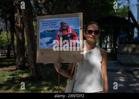 Madrid, Spagna. 2 agosto 2024. Un attivista animale porta uno striscione durante una manifestazione di protesta a Madrid davanti all'ambasciata danese a Madrid per chiedere il rilascio urgente dell'attivista anti-baleniera Paul Watson. Il fondatore dell'organizzazione Sea Shepherd è stato arrestato il 21 luglio dalla polizia danese in Groenlandia e rischia di essere estradato in Giappone, dove avrebbe potuto trascorrere fino a 15 anni di prigione. Credito: SOPA Images Limited/Alamy Live News Foto Stock