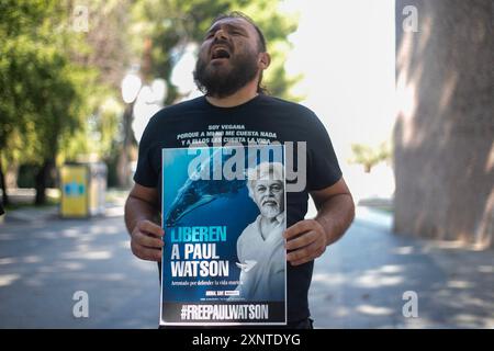 Madrid, Spagna. 2 agosto 2024. Protesta di fronte all'ambasciata danese a Madrid per chiedere il rilascio urgente dell'attivista anti-baleniera Paul Watson. Il fondatore dell'organizzazione Sea Shepherd è stato arrestato il 21 luglio dalla polizia danese in Groenlandia e rischia di essere estradato in Giappone, dove avrebbe potuto trascorrere fino a 15 anni di prigione. Credito: SOPA Images Limited/Alamy Live News Foto Stock