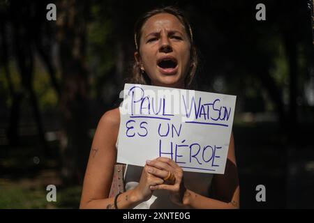Madrid, Spagna. 2 agosto 2024. Un attivista animale porta uno striscione durante una manifestazione di protesta a Madrid davanti all'ambasciata danese a Madrid per chiedere il rilascio urgente dell'attivista anti-baleniera Paul Watson. Il fondatore dell'organizzazione Sea Shepherd è stato arrestato il 21 luglio dalla polizia danese in Groenlandia e rischia di essere estradato in Giappone, dove avrebbe potuto trascorrere fino a 15 anni di prigione. Credito: SOPA Images Limited/Alamy Live News Foto Stock