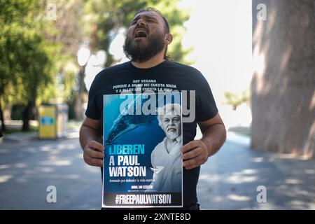 Madrid, Spagna. 2 agosto 2024. Protesta di fronte all'ambasciata danese a Madrid per chiedere il rilascio urgente dell'attivista anti-baleniera Paul Watson. Il fondatore dell'organizzazione Sea Shepherd è stato arrestato il 21 luglio dalla polizia danese in Groenlandia e rischia di essere estradato in Giappone, dove avrebbe potuto trascorrere fino a 15 anni di prigione. (Foto di David Canales/SOPA Images/Sipa USA) credito: SIPA USA/Alamy Live News Foto Stock