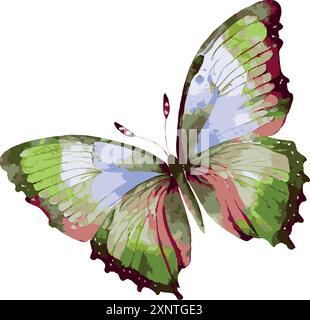 Illustrazione grafica del vettore a farfalla. Illustrazione Vettoriale