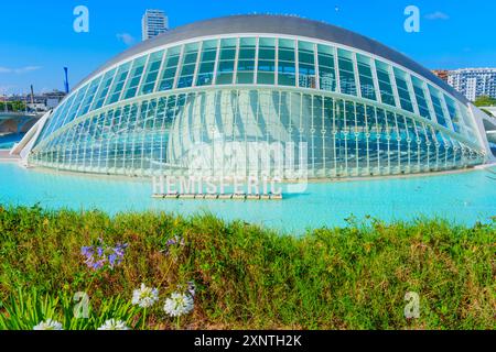 Spettacolari angoli di architettura moderna presso la città delle Arti e delle Scienze, con cieli azzurri cristallini che offrono uno sfondo meraviglioso per lo skyline di Valencia. Foto Stock