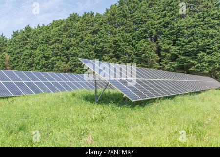 Sezioni di pannelli solari monocristallini fotovoltaici a inclinazione fissa in rack/fotovoltaici. Una fonte di energia "pulita" nel mix di energie rinnovabili. Foto Stock