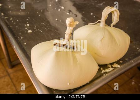 Formaggio fresco sgocciolato, fabbricazione artigianale di formaggio Mahon, Alcaiduset, Alaior, Minorca, Isole Baleari, Spagna Foto Stock