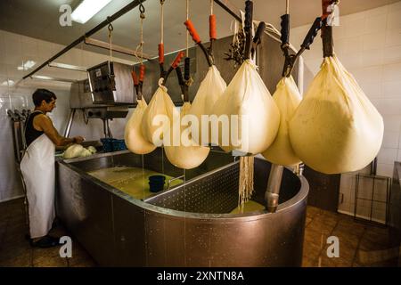 Formaggio fresco sgocciolato, fabbricazione artigianale di formaggio Mahon, Alcaiduset, Alaior, Minorca, Isole Baleari, Spagna Foto Stock