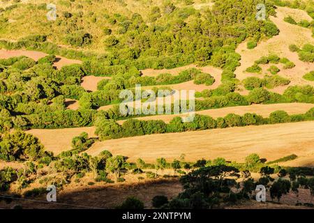 Pascoli e macchia, fattoria Santa Cecilia, Ferreries, Minorca, Isole Baleari, Spagna, Europa Foto Stock