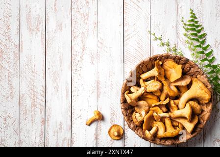 Funghi canterelle grezzi in cestello su sfondo di legno bianco, vista dall'alto, spazio per copie. Sfondo gastronomico con funghi della foresta autunnali gialli. Foto Stock