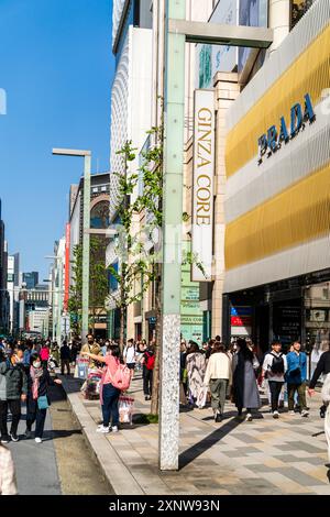 Ginza Core e il negozio Prada sulla Ginza con il suo design ardeggiato dorato e grigio sopra l'ingresso con il nome Prada in lettere argentate. Cielo blu. Foto Stock