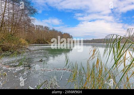 Una vista mozzafiato del lago Oberwaldsee in inverno, caratterizzata da una superficie di ghiaccio cristallina che riflette la luce del sole del giorno Foto Stock