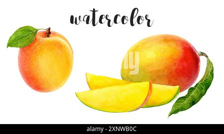 Una splendida illustrazione ad acquerello mostra frutti vivaci come una lussureggiante albicocca e mango Foto Stock