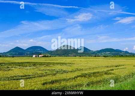 Veduta dei Colli Euganei nella provincia di Padova, Veneto, Italia. Foto Stock