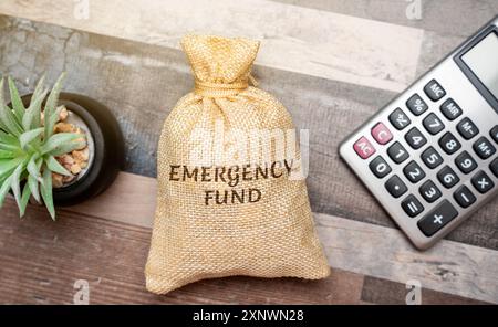 Borsa di denaro Fondo di emergenza - budget personale messo da parte come rete di sicurezza finanziaria per le spese impreviste future. Calcolatrice, fiori sdraiati sul tavolo. Fi Foto Stock