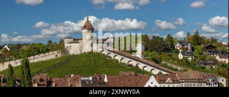 Vista sul fiume Reno fino alla città vecchia, Sciaffusa, Svizzera, Europa Copyright: MarkusxLange 1160-5412 Foto Stock