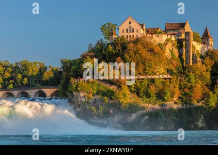 Cascate del Reno di Sciaffusa con Schloss Laufen, Neuhausen bei Schaffhausen, Cantone di Sciaffusa, Svizzera, Europa Copyright: MarkusxLange 1160-541 Foto Stock