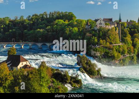 Cascate del Reno vicino a Sciaffusa con Schloss Laufen, Neuhausen bei Schaffhausen, Cantone di Sciaffusa, Svizzera, Europa Foto Stock